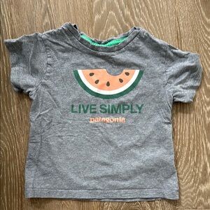 Patagonia Kids Gray T-Shirt with Watermelon Graphic